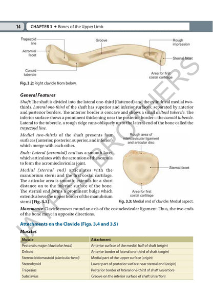Inderbir Singh's Textbook of Human Osteology with Atlas of Muscle Attachments, 5/E for MBBS 1st Year Students | CBME-aligned Bone-by-Bone Atlas with Muscle, Ligament Tables and Viva Questionnaire