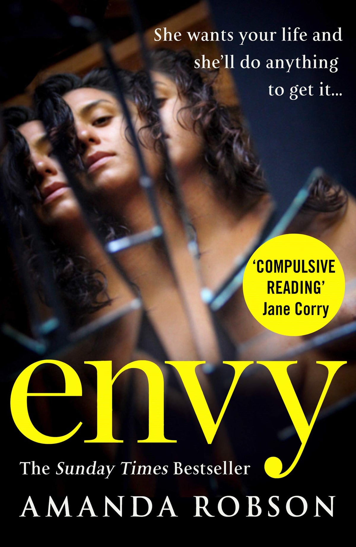 Envy book cover