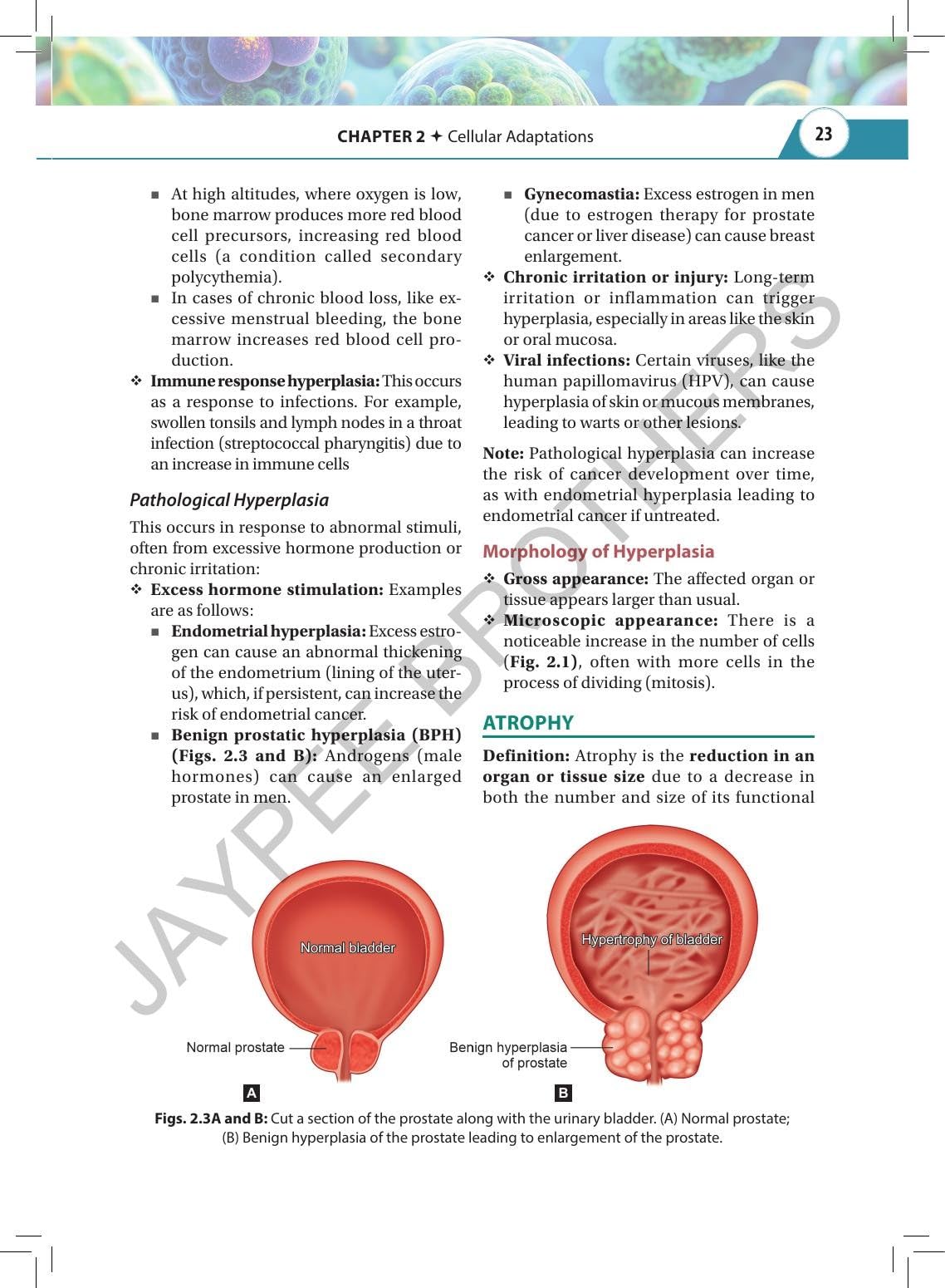 Textbook of Pathology & Genetics for Nurses, 3/E for BSc Nursing 3rd & 4th Semesters | General & Systemic Pathology, Hematology and Genetics with Chapter-wise MCQs, Flowcharts and Glossary
