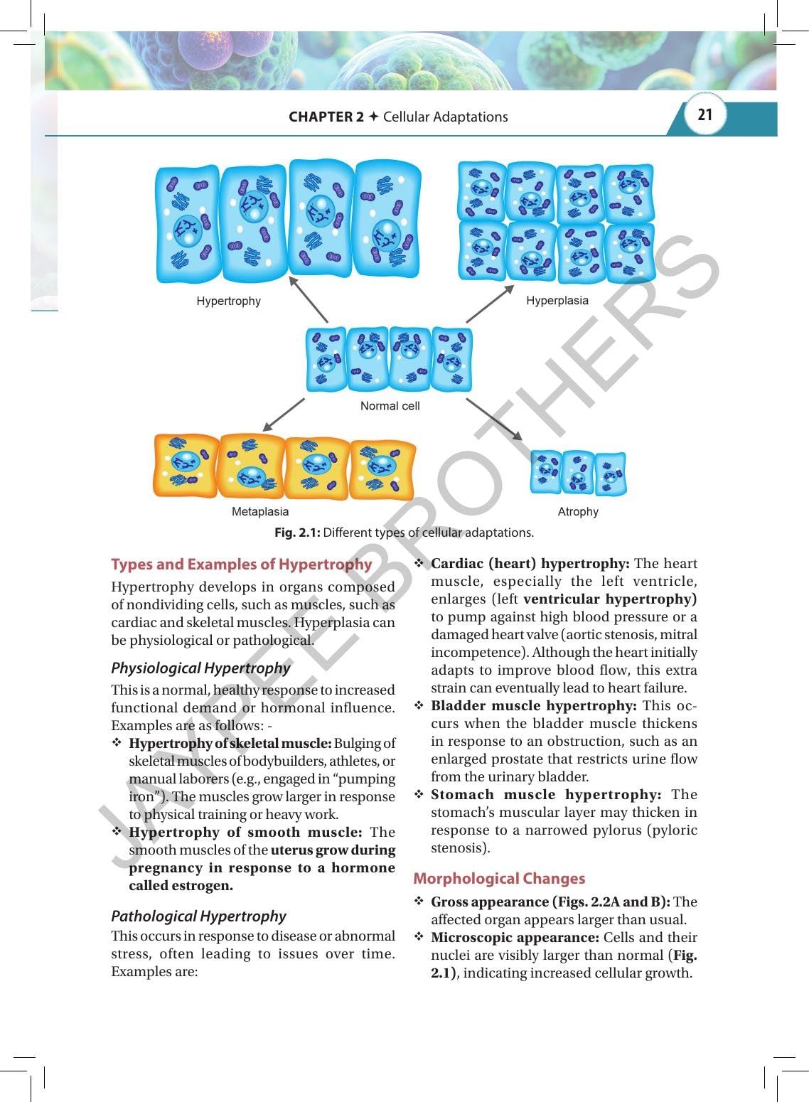 Textbook of Pathology & Genetics for Nurses, 3/E for BSc Nursing 3rd & 4th Semesters | General & Systemic Pathology, Hematology and Genetics with Chapter-wise MCQs, Flowcharts and Glossary