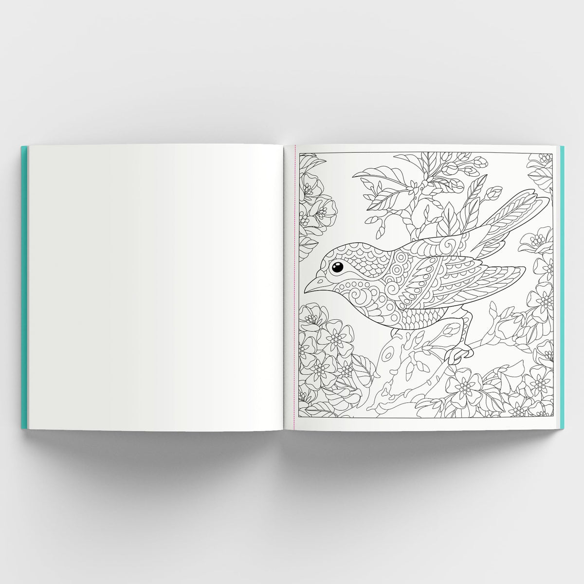 Enchanting Nature: Coloring Book for Adults with Tear out Sheets | Fun and Relaxing Doodle Designs