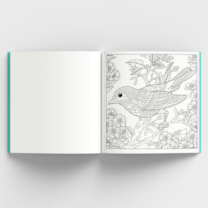 Enchanting Nature: Coloring Book for Adults with Tear out Sheets | Fun and Relaxing Doodle Designs