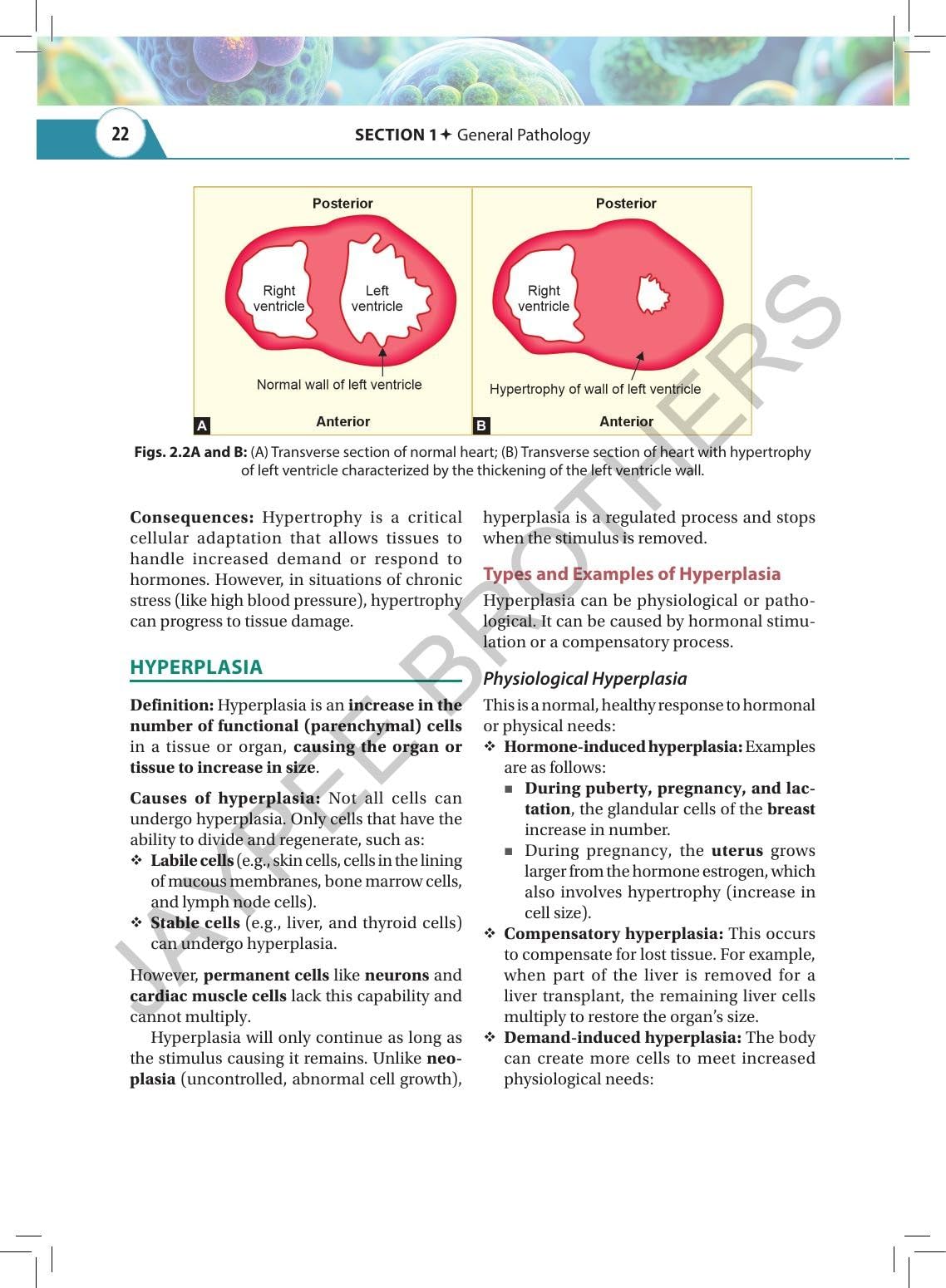 Textbook of Pathology & Genetics for Nurses, 3/E for BSc Nursing 3rd & 4th Semesters | General & Systemic Pathology, Hematology and Genetics with Chapter-wise MCQs, Flowcharts and Glossary