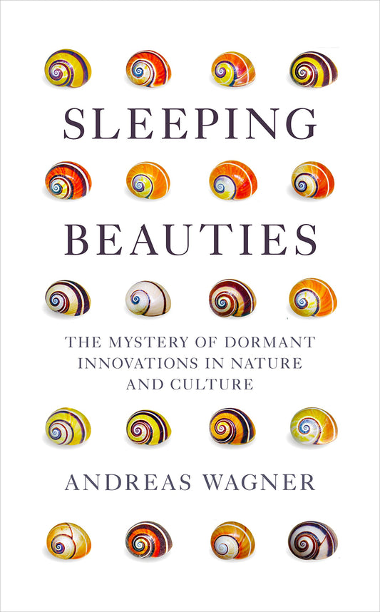 SLEEPING BEAUTIES book cover