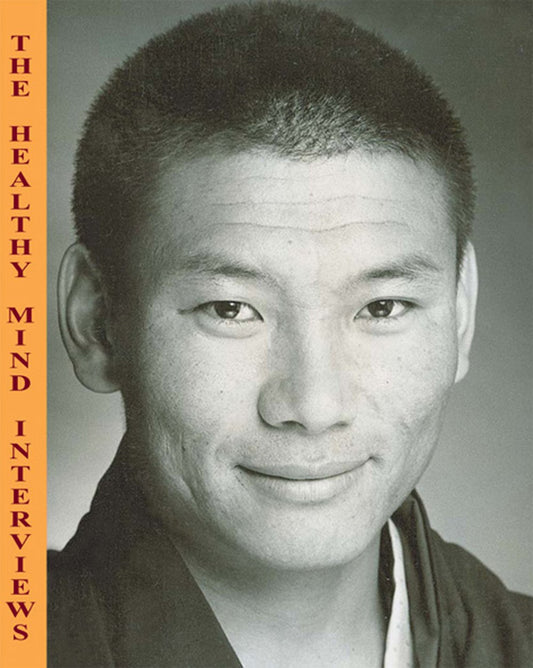 Healthy Mind Interviews (VOL I) book cover