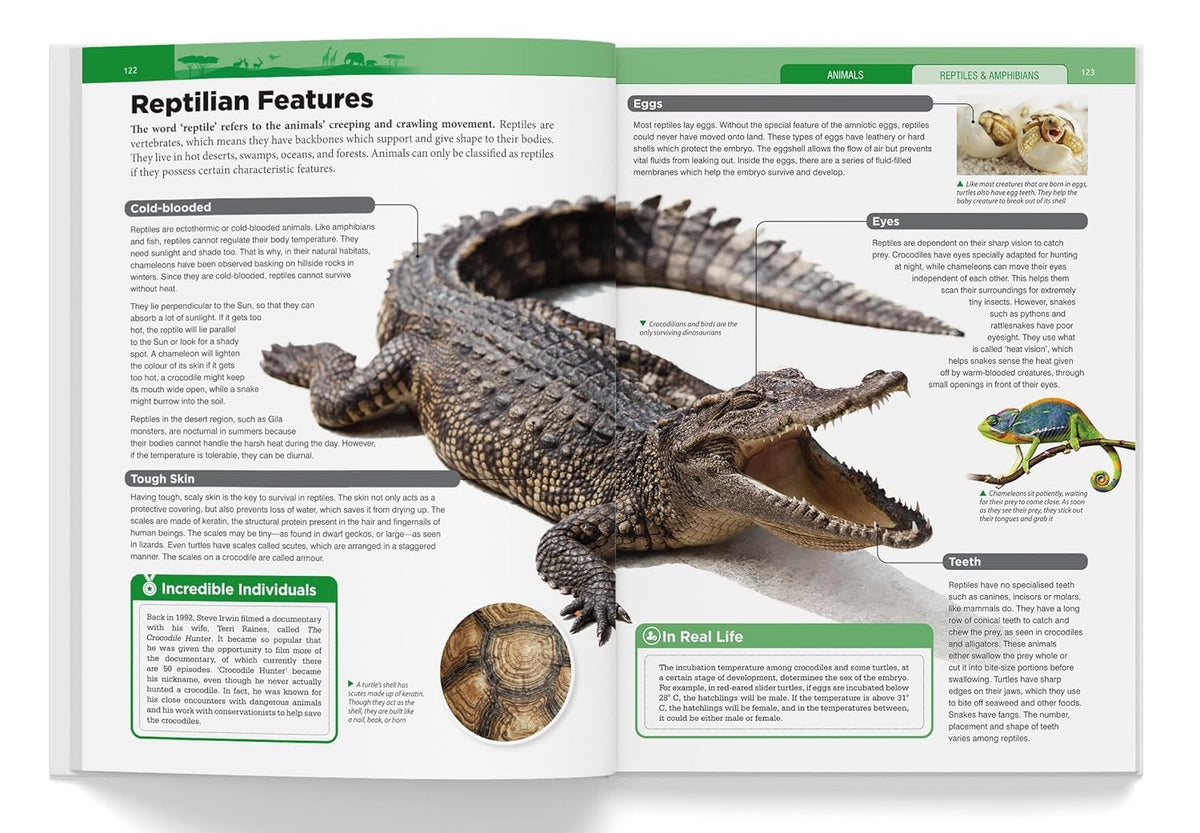 Children’s Encyclopedia - Our Planet Earth, Animals and Human Body: Animals, Human Body and Our Planet Earth