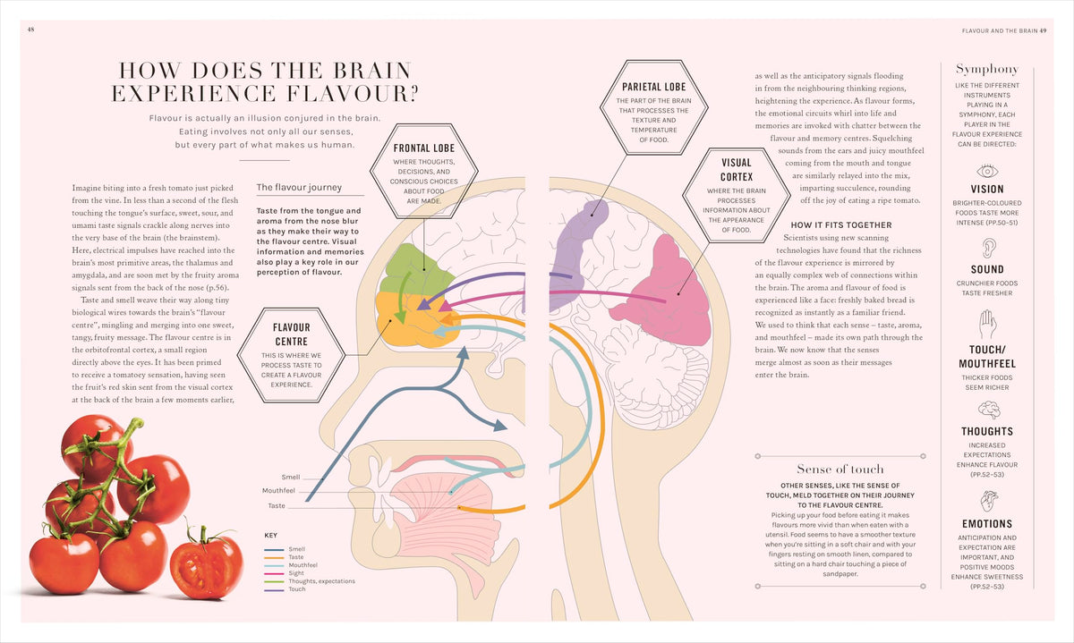 The Science of Flavor: Unlock the Secrets of Flavorful Cooking (The Science of Food)