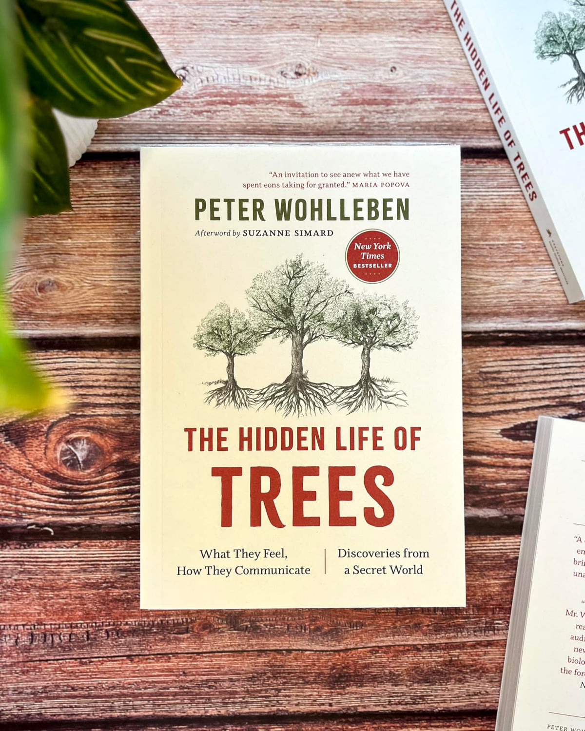 The Hidden Life of Trees: What They Feel, How They Communicate-- Discoveries from a Secret World: 1 (The Mysteries of Nature, 1)