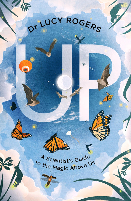 Up: A scientist's guide to the magic above us