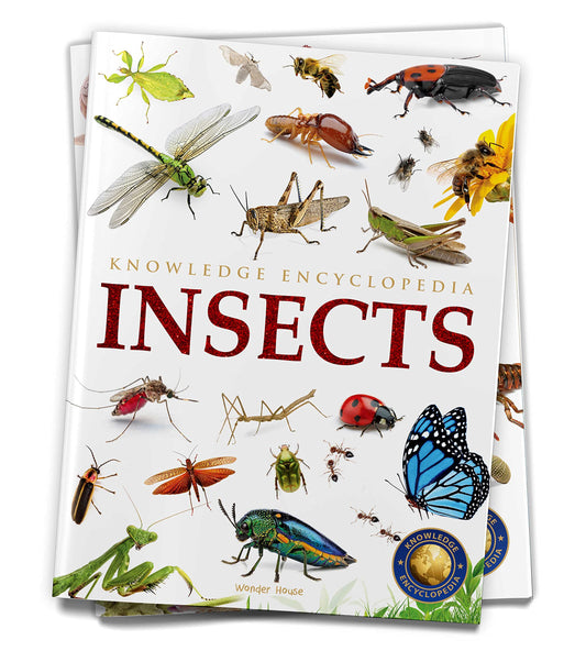 Animals - Insects : Knowledge Encyclopedia For Children book cover