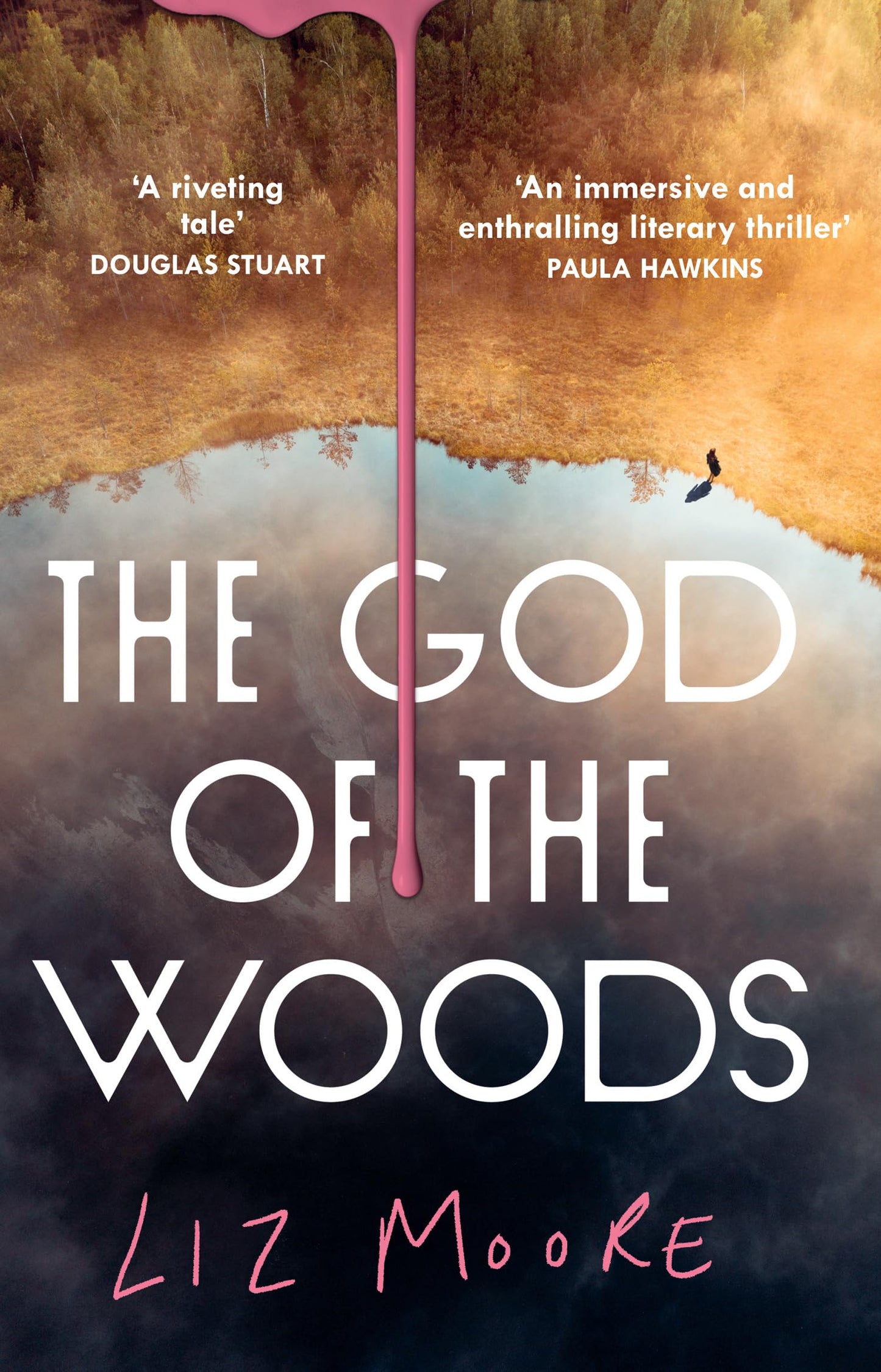 god-of-woods-liz-moore