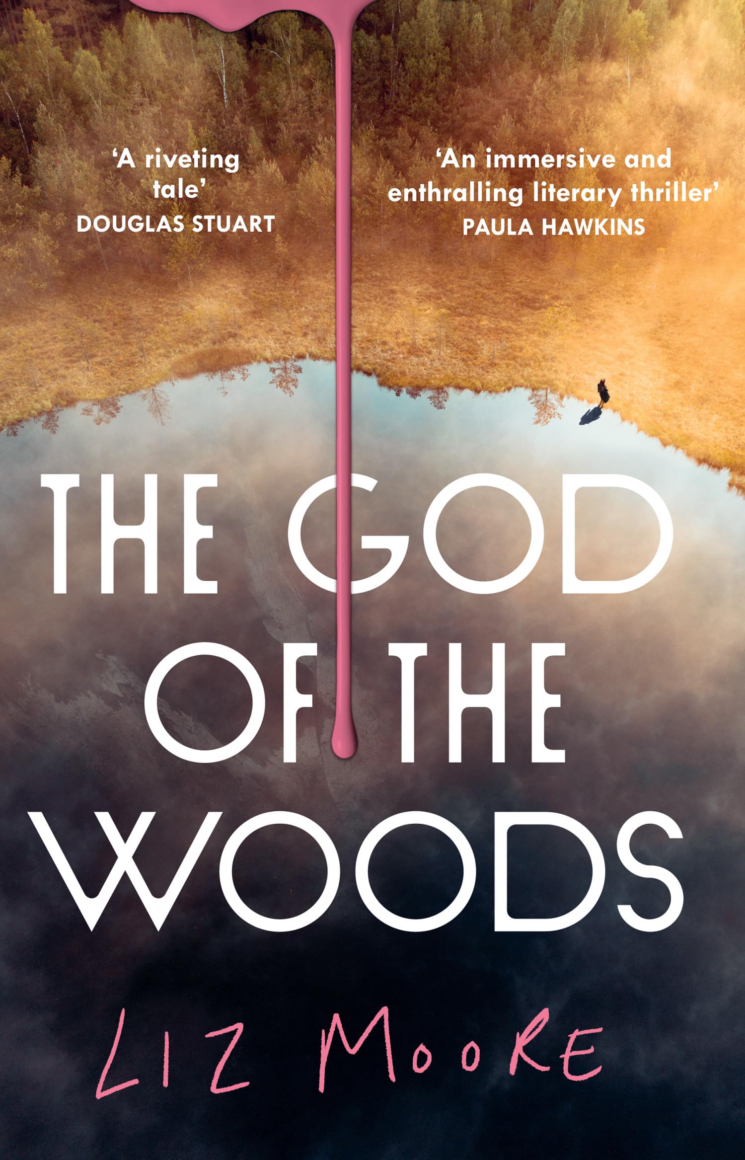 god-of-woods-liz-moore