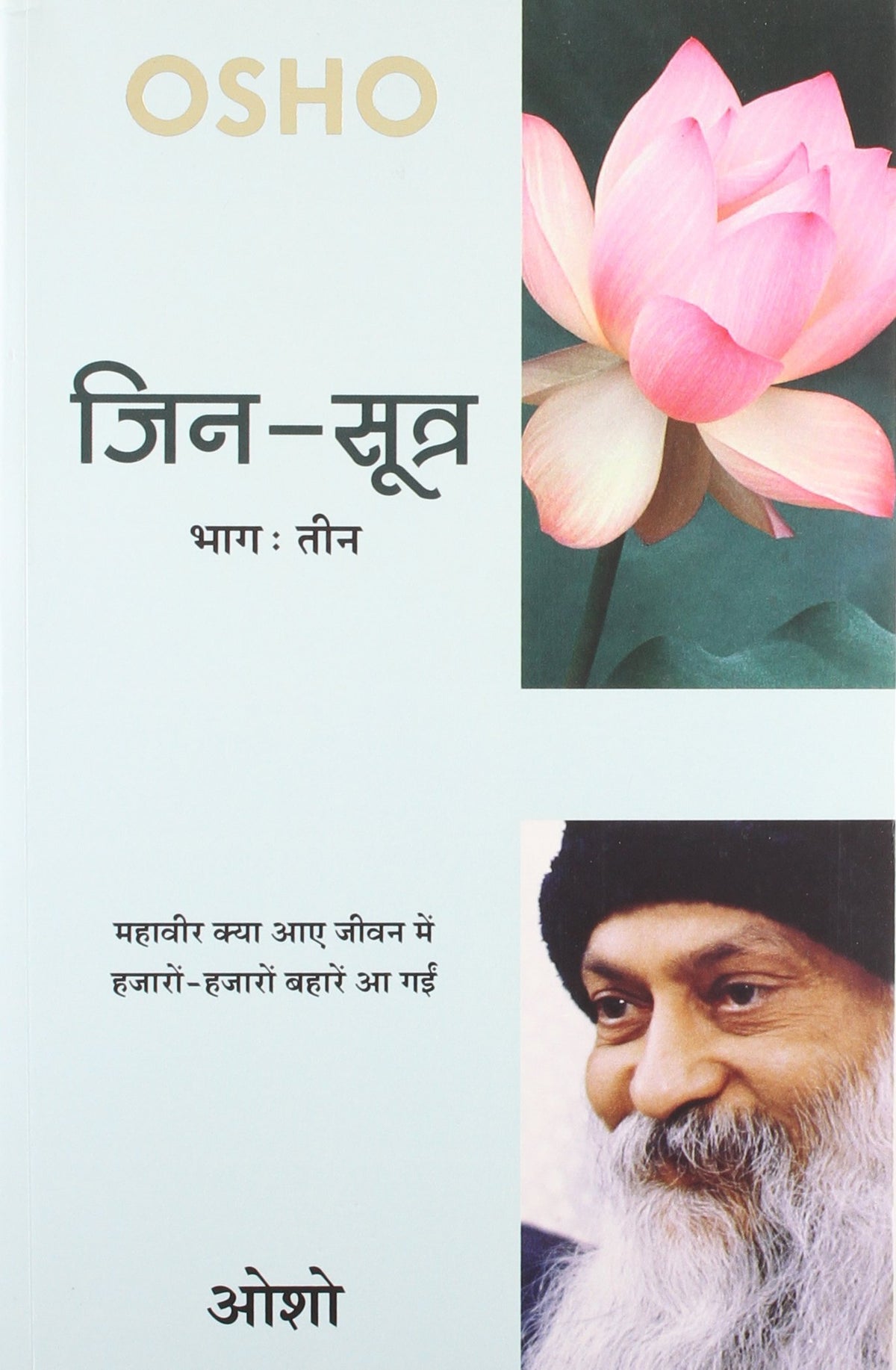 JIN-SUTRA (VOL. - 3) (Hindi)
