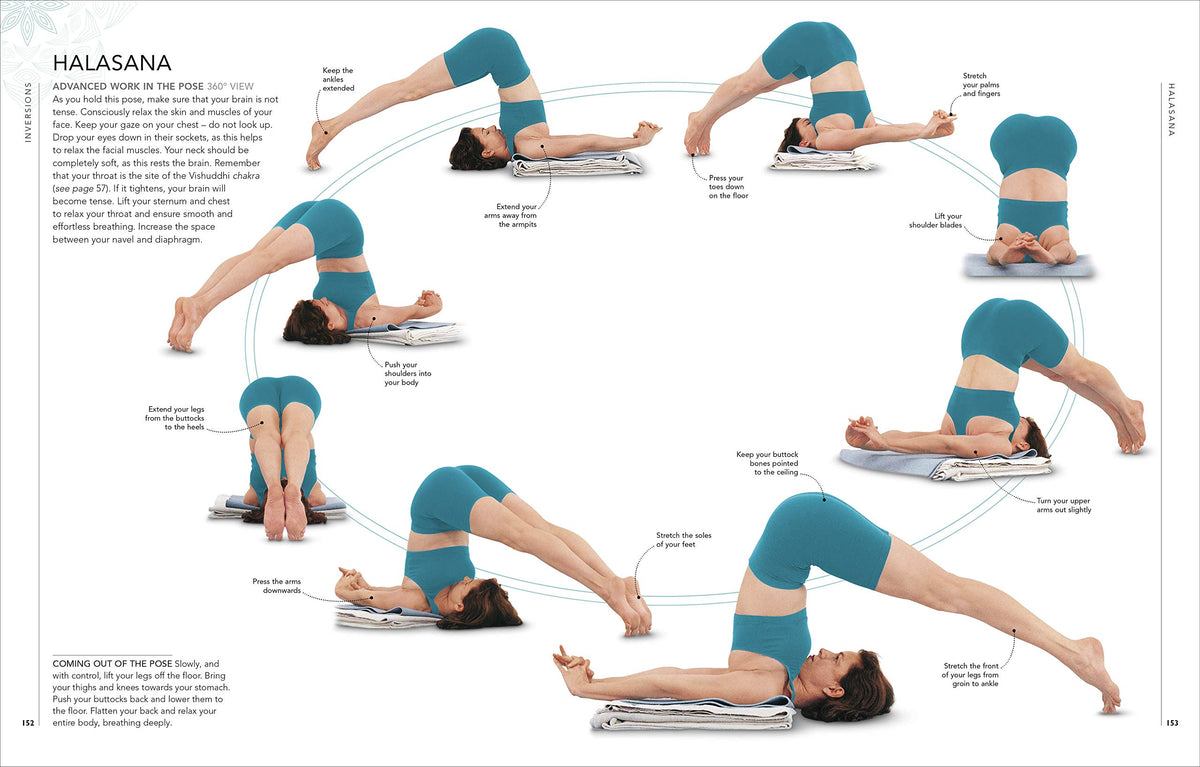 B.K.S. Iyengar Yoga The Path to Holistic Health: The Definitive Step-by-step Guide