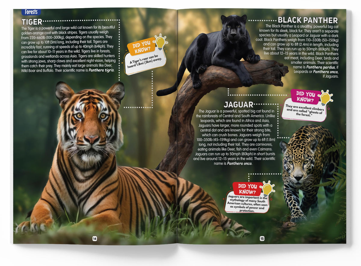 Explore Fantastic World of Animals Picture Encyclopedia