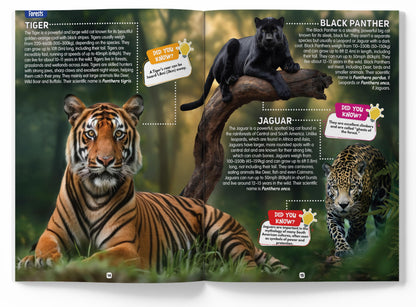 Explore Fantastic World of Animals Picture Encyclopedia
