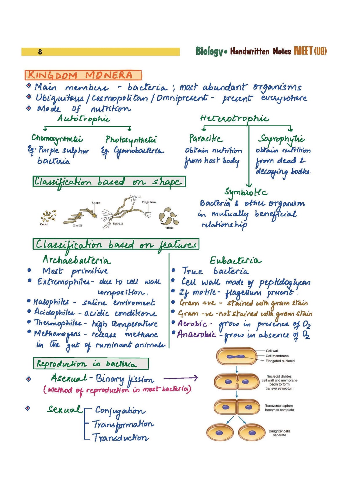 Arihant NEET (UG) Biology Handwritten Notes for Exam 2026-2027 | NEET Synapse, Memory Tricks & Detailed Diagrams | First and Only NEET Targeted Handwritten Notes