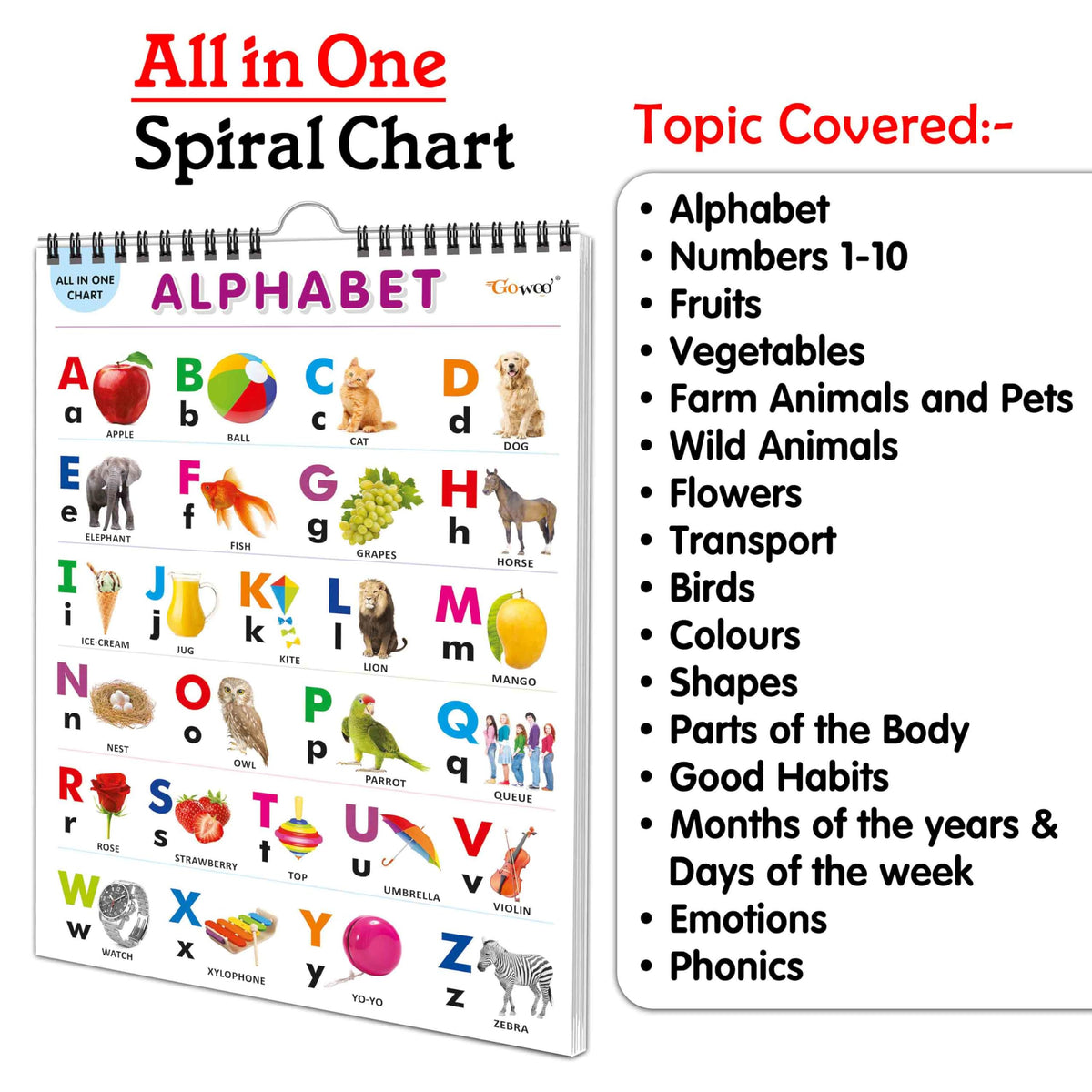 My First ALL IN ONE SPIRAL CHART : With 16 Topics ( Big Fonts and Realistic Pictures) | Gift Set For Kids