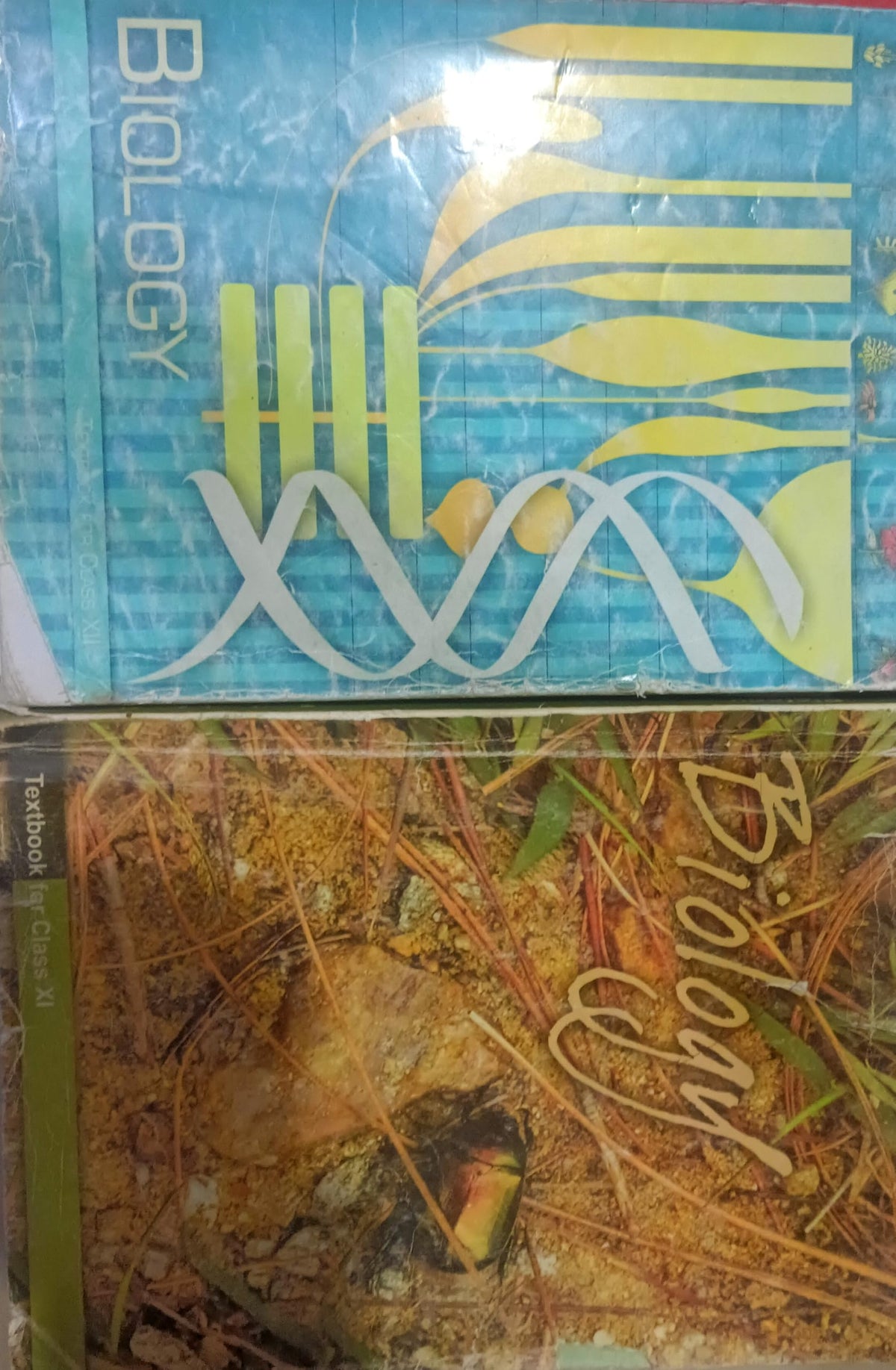 NCERT Biology both book for Class 11 and 12 2025-26 Edition