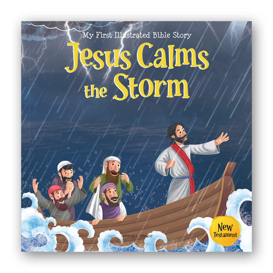 My First Illustrated Bible Story: Jesus Calms the Storm book cover