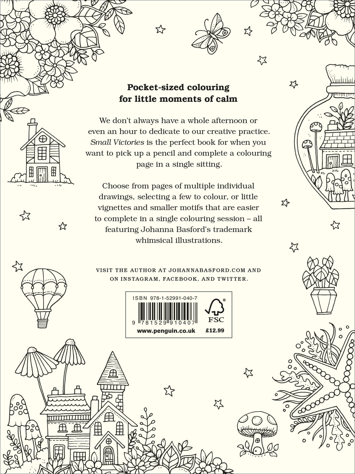 Small Victories: A Colouring Book of Little Wins and Miniature Masterpieces