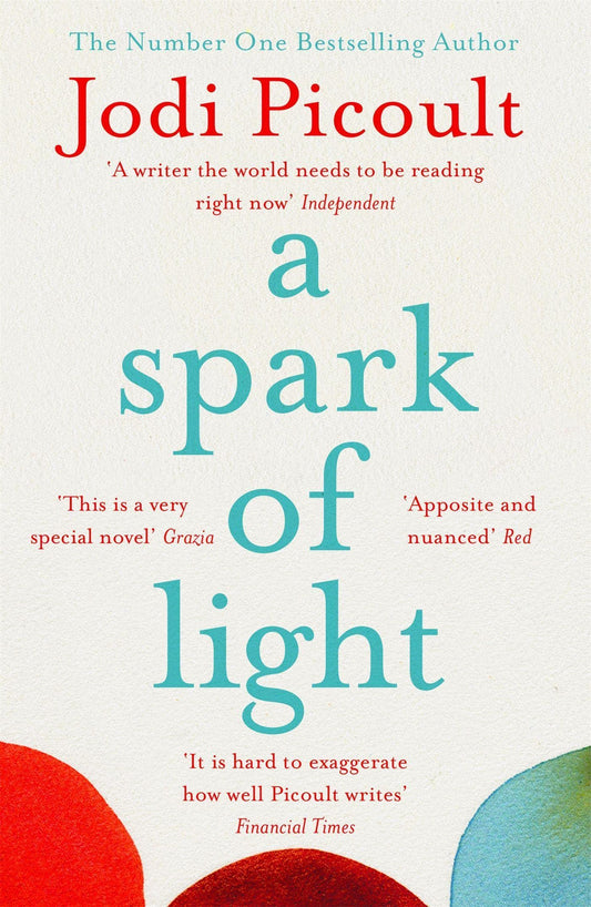 A Spark Of Light book cover