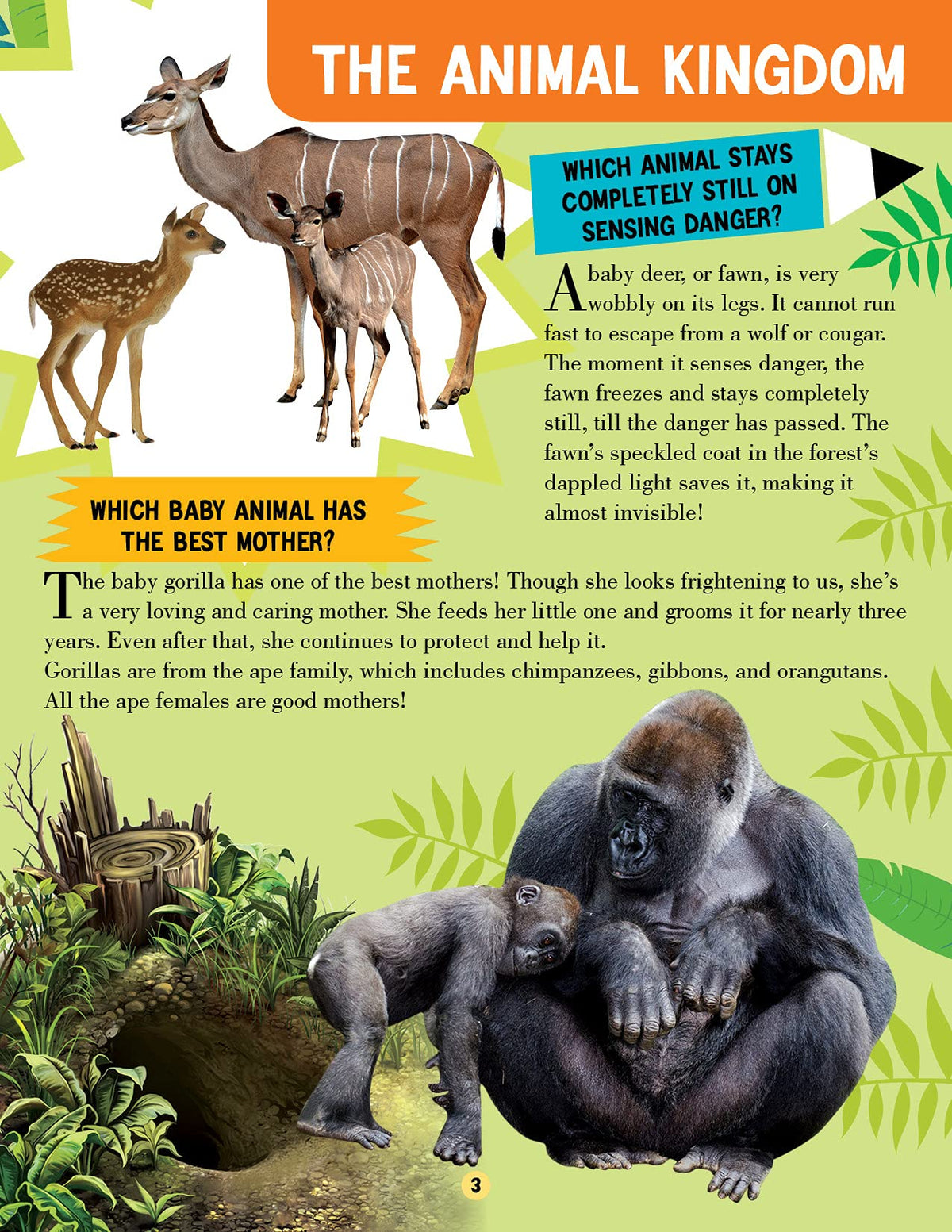 Animal World Children Encyclopedia for Kids Age 5–15 Years | Illustrated Animal Encyclopedia with Fun Facts, Trivia Questions & Answers | Learn About Wildlife, Sea Creatures, Birds, Mammals, Insects, Reptiles & Amazing Animal Kingdom Discoveries