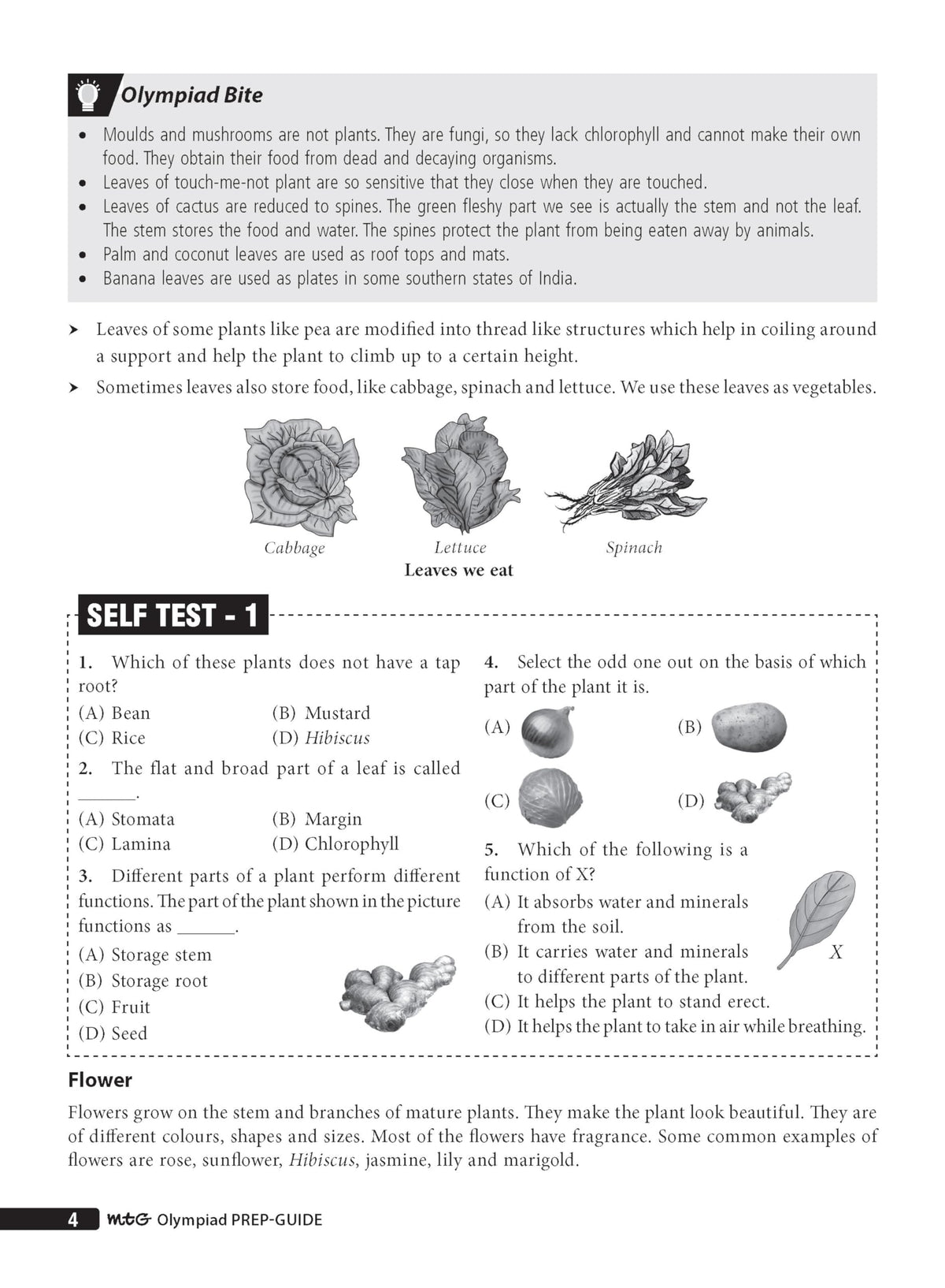 MTG Science (ISO) Olympiad Prep Guide Class 3 | Detailed Theory, Exercise with Self Test For Practice | SOF Olympiad Books For Exam 2026-27 (Useful For Level-1 & 2)