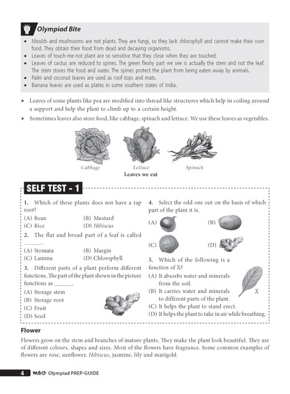 MTG Science (ISO) Olympiad Prep Guide Class 3 | Detailed Theory, Exercise with Self Test For Practice | SOF Olympiad Books For Exam 2026-27 (Useful For Level-1 & 2)