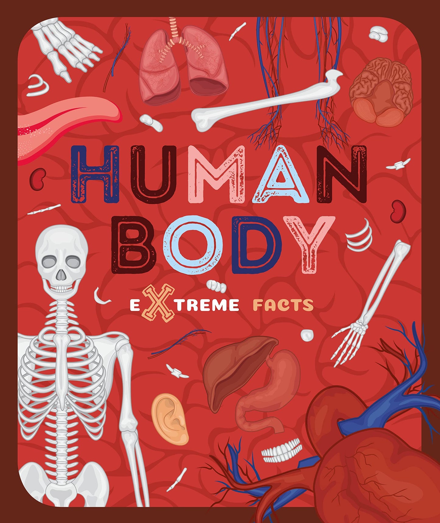Extreme Facts: Human Body book cover