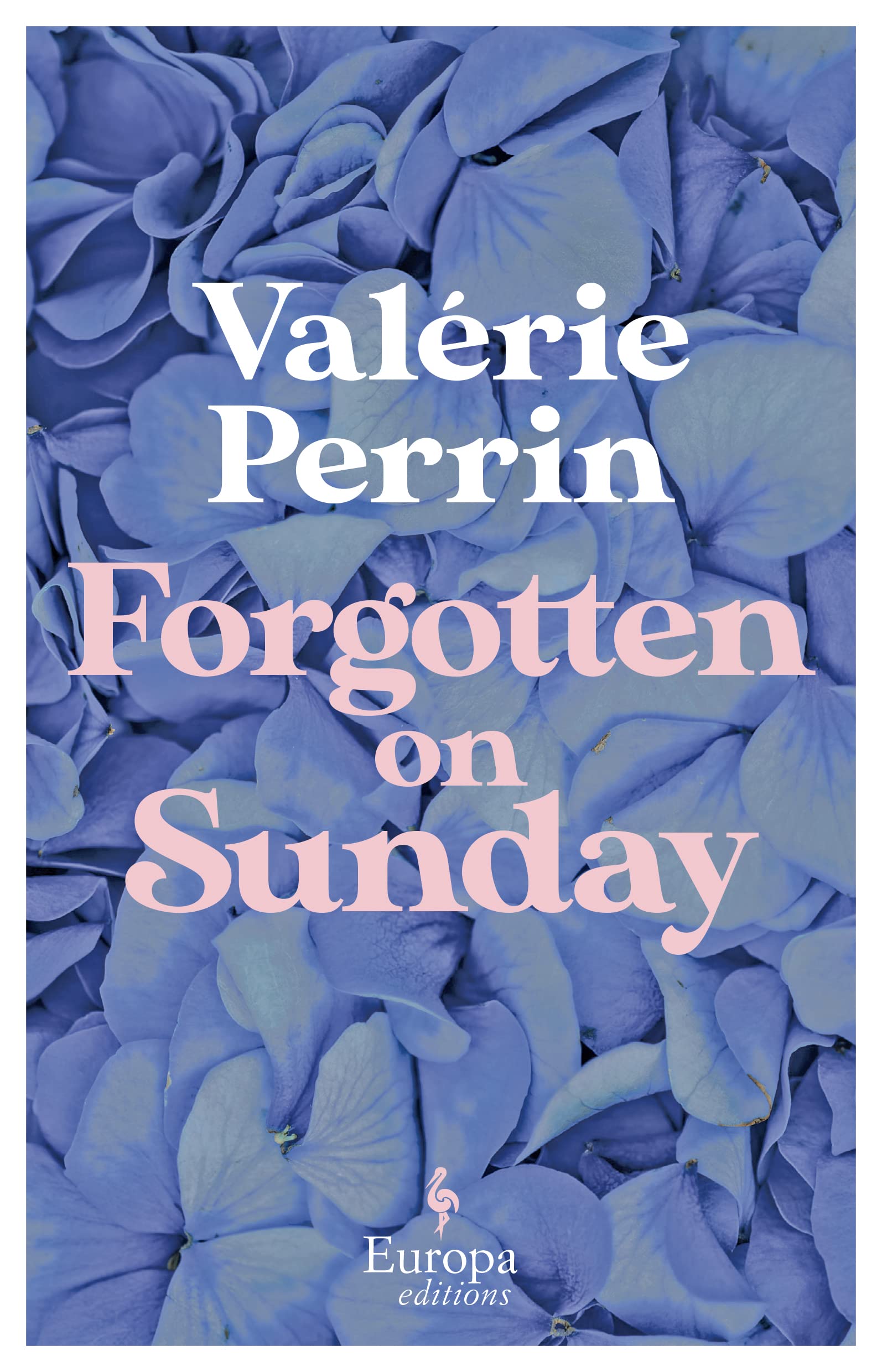 Forgotten on Sunday book cover