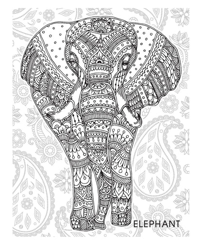 Animals & Birds Creative Doodle Colouring Book for Beginners and Adults | Intricate Wildlife Patterns for Relaxation and Creativity | Printed on High-Quality Paper for Pencil, Gel Pen & Marker Use