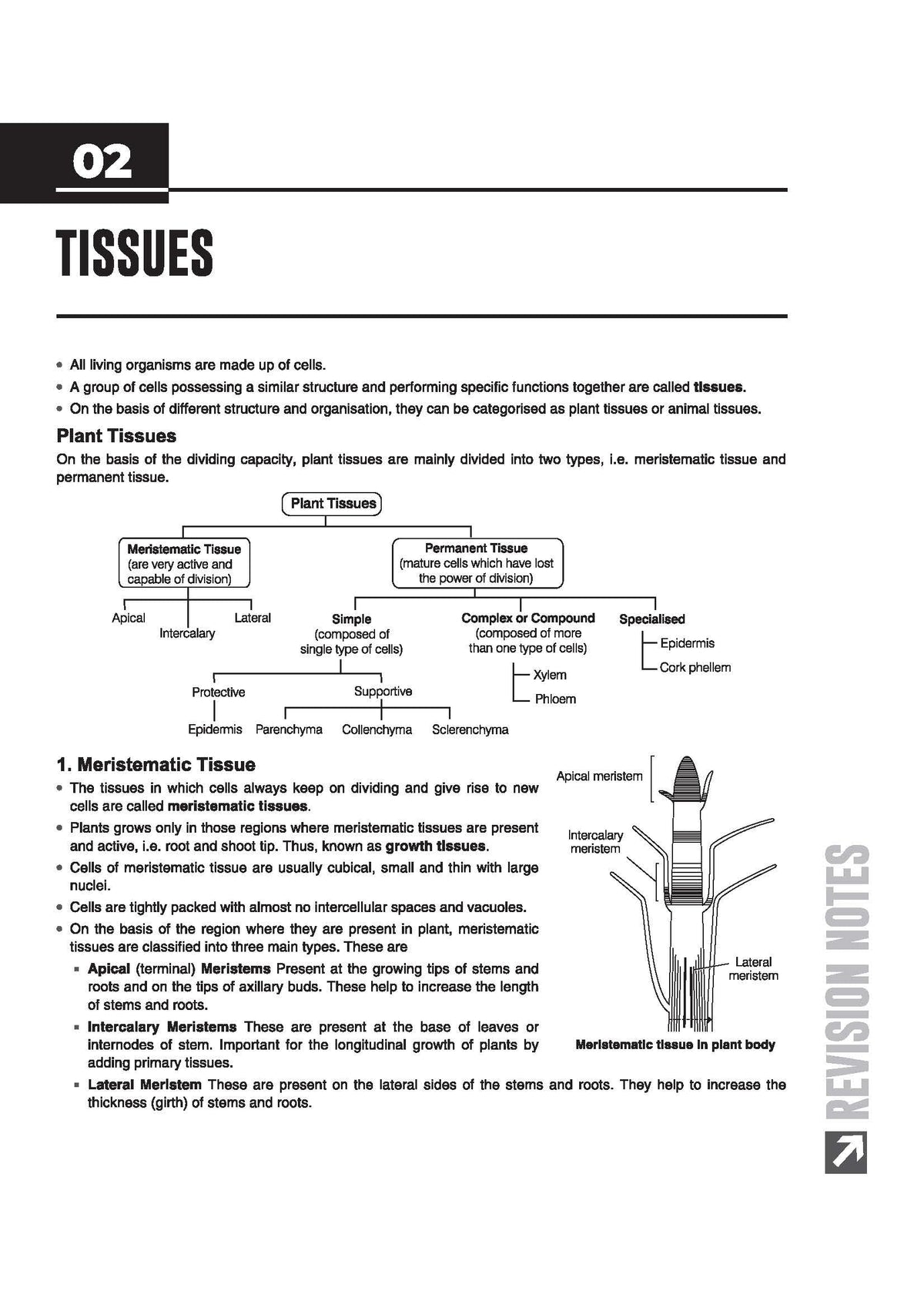 Arihant ICSE Biology Class 9 Exam 2026-27 | Quick Theory, Exam Pattern Questions & Sample Papers | As per Latest ICSE Syllabus | Que Bee 2nd Edition 2027
