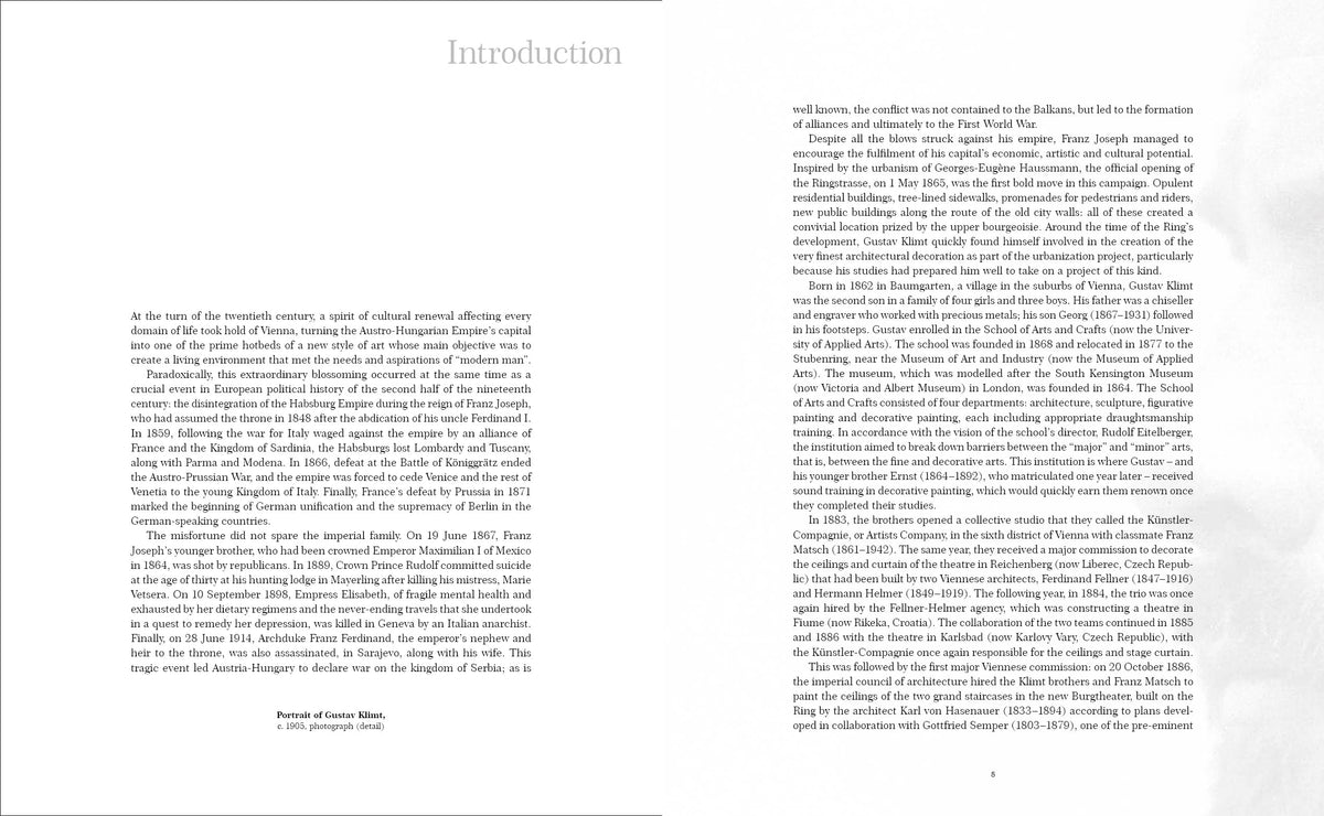 Klimt: The Bigger Picture