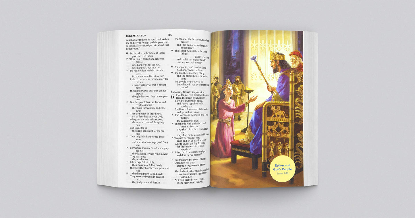 ESV Holy Bible for Kids, Economy