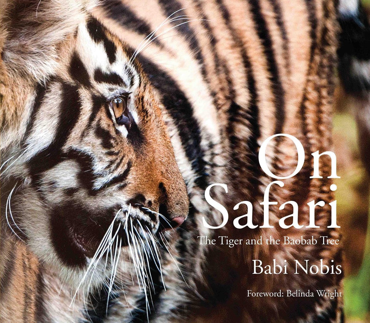 On Safari: The Tiger and The Baobab Tree
