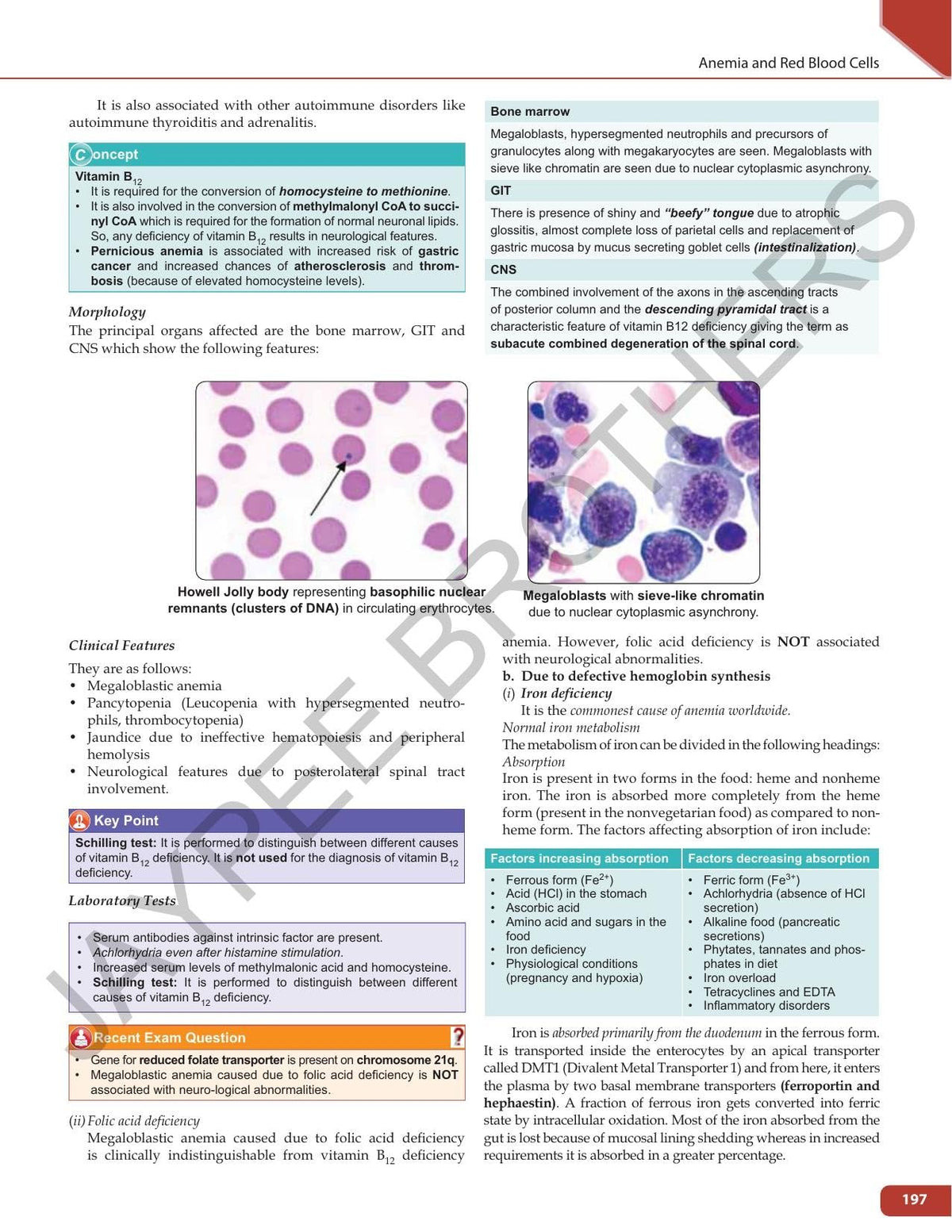 Review of Pathology and Genetics, 14/E for NEET PG, INI-CET and FMGE Aspirants | Chapterwise Solved MCQs, Golden Points and Mnemonics for PG Entrance Exam Revision