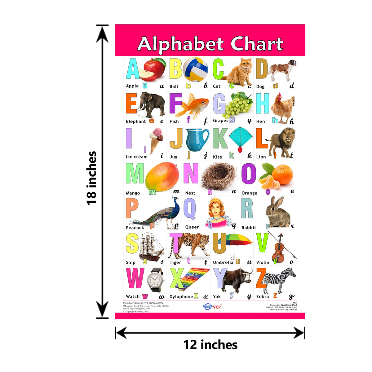 VCP Early Learning Educational Chart Set for Kids | Set of 12 LAMINATED Paper Charts (Printed on Both Sides) | Non-Tearable and Waterproof | Size : 31 x 46 cm | Alphabet, Numbers, Animals..
