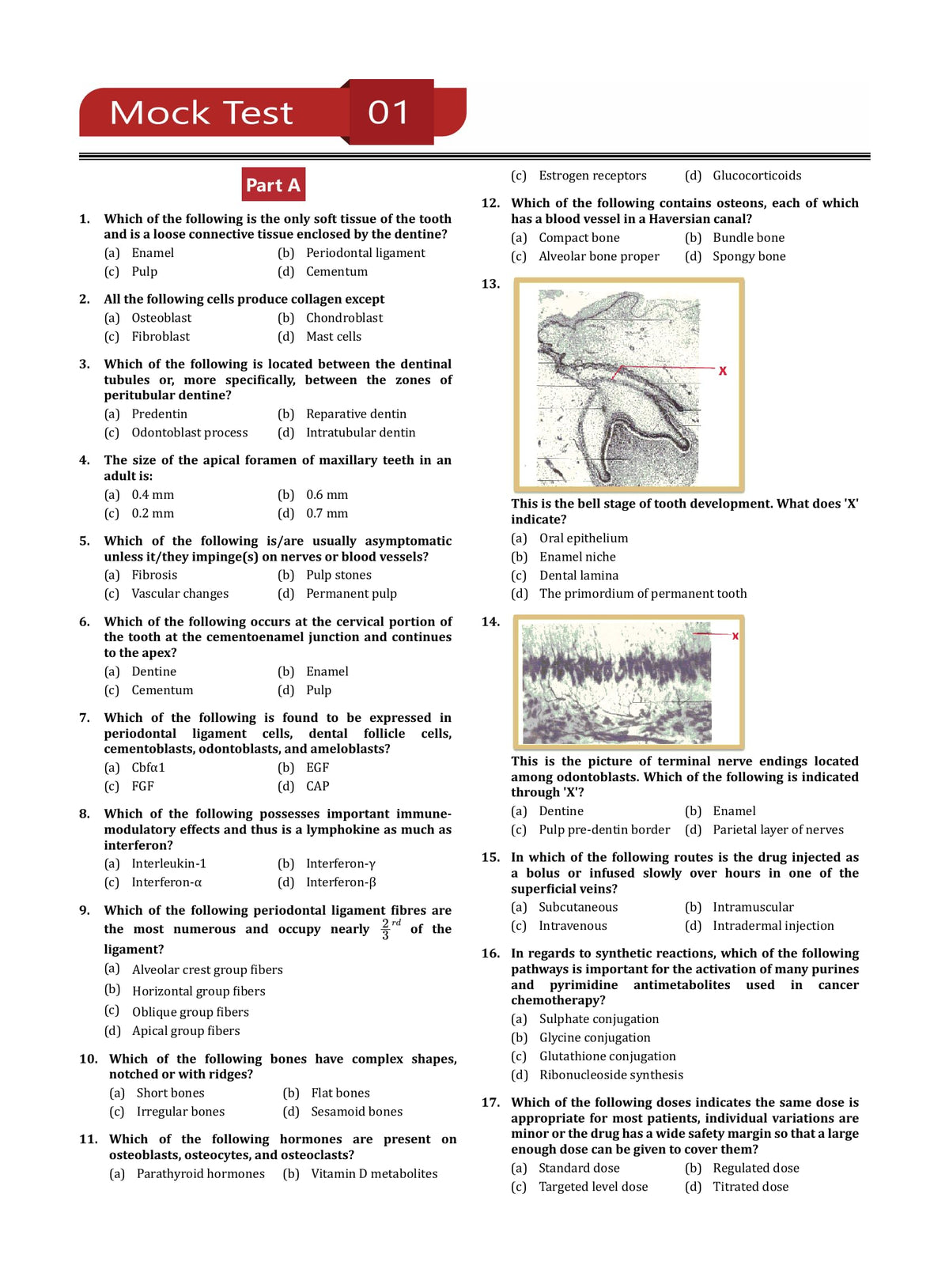 NEET MDS Entrance Exam Preparation Book 2024 (Master of Dental Surgery) - 10 Unsolved Practice Tests [8 Mock Tests and 2 Sectional Tests (Part A and B)] with Free Access To Online Tests