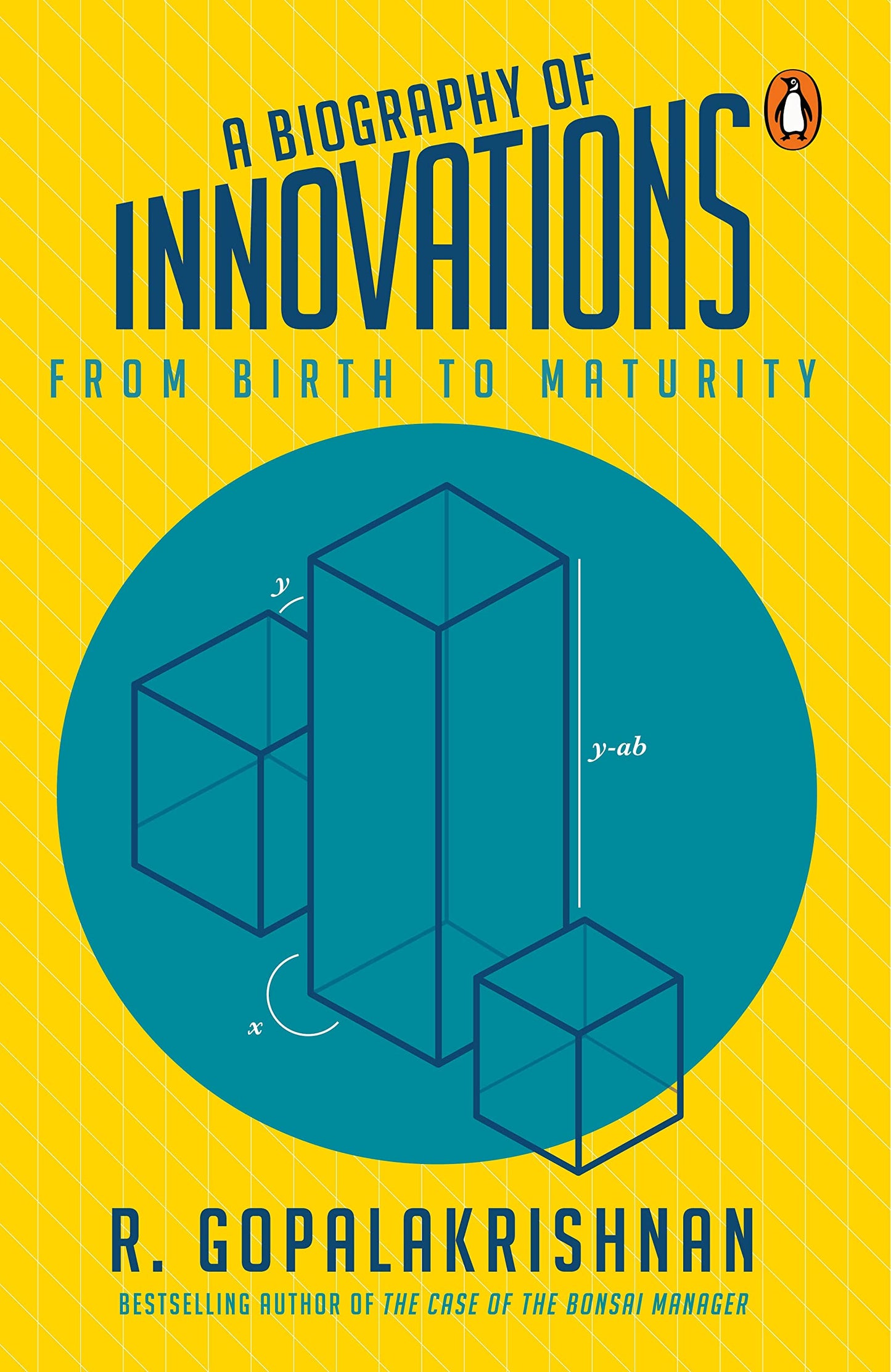 A Biography Of Innovations: From Birth To Maturity book cover