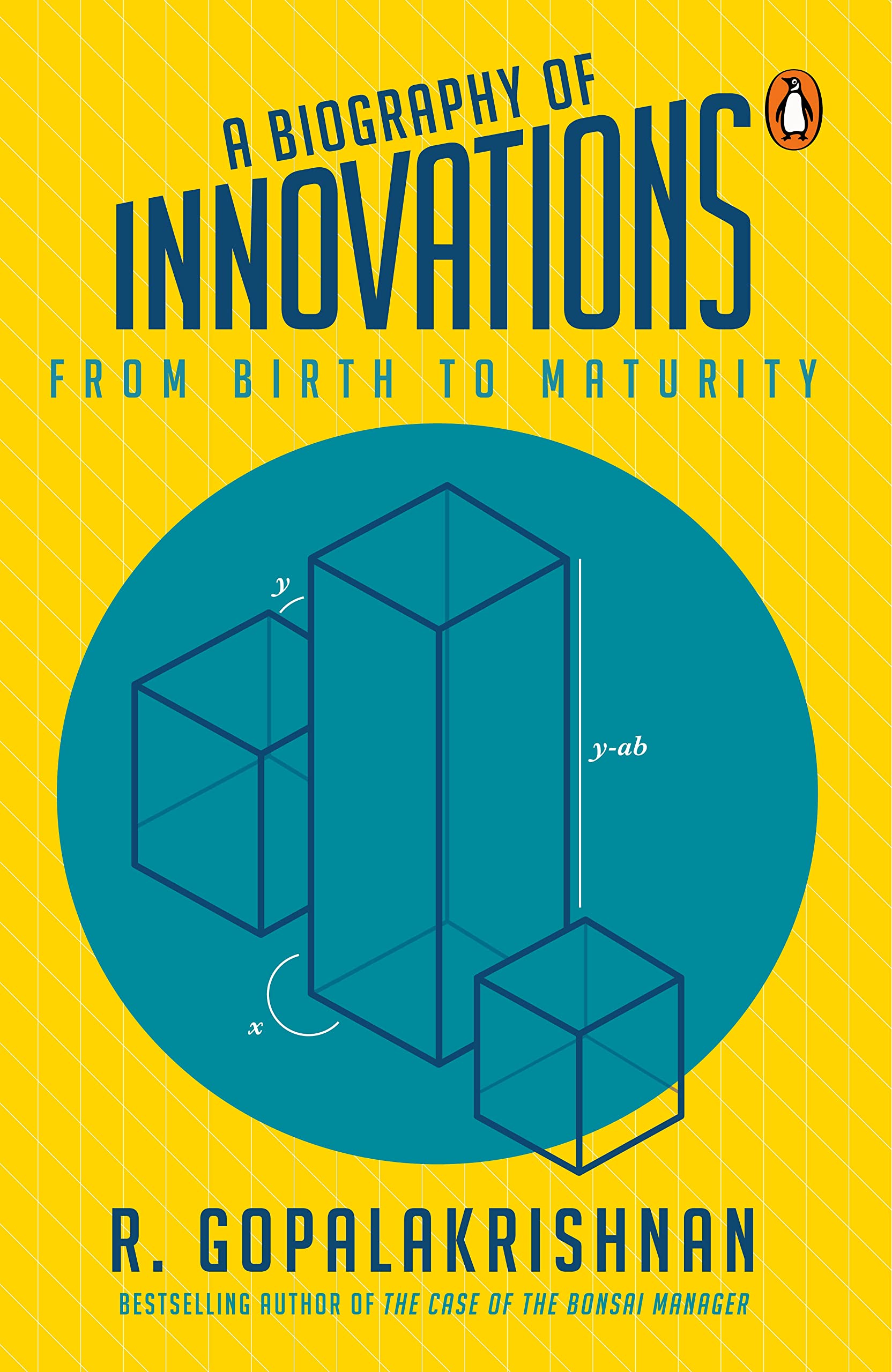 A Biography Of Innovations: From Birth To Maturity book cover