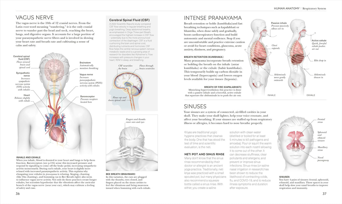 Science of Yoga: Understand the Anatomy and Physiology to Perfect Your Practice