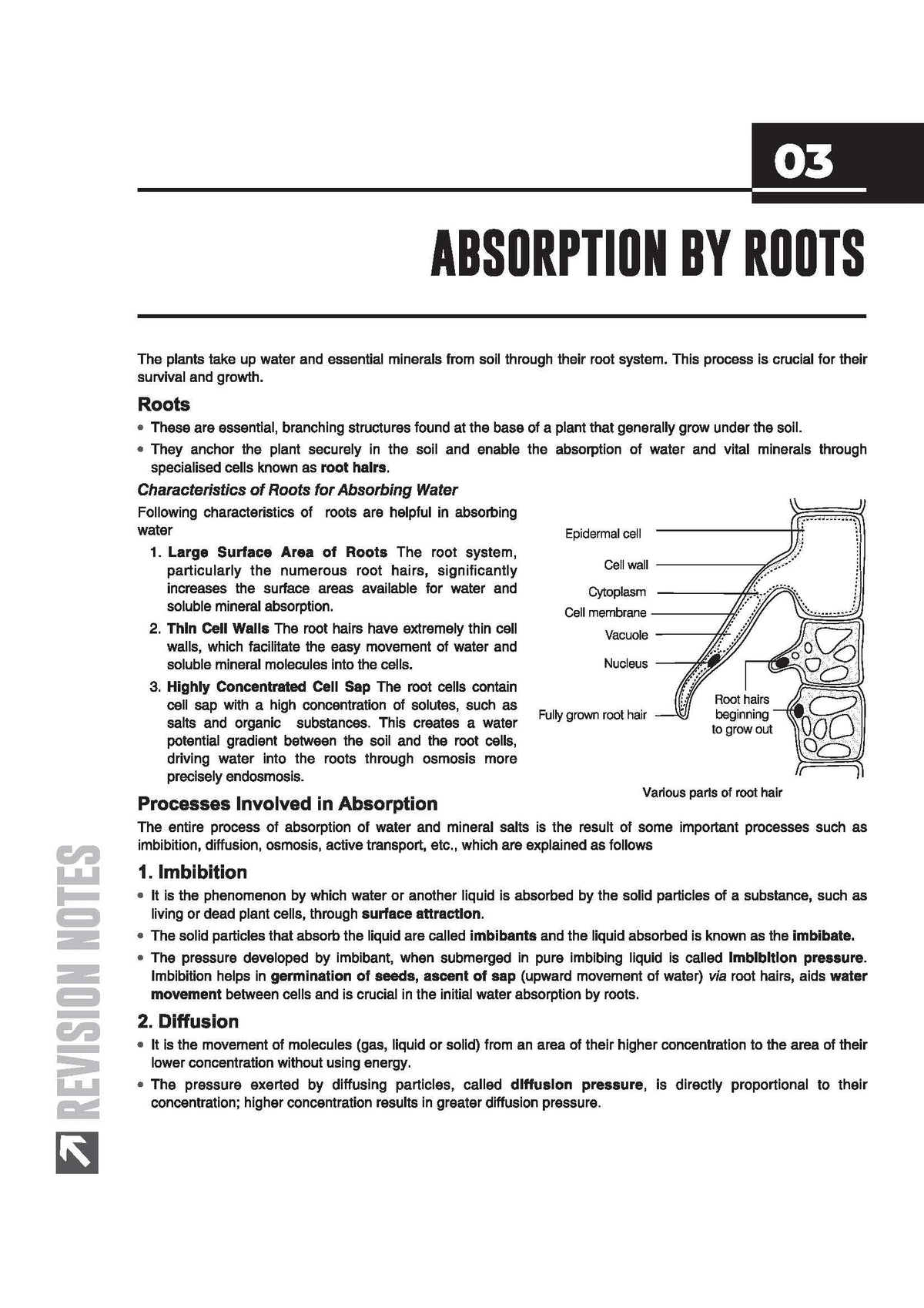 Arihant ICSE Biology Class 10 Exam 2026-27 | Quick Theory, Exam Pattern Questions & Sample Papers | As per Latest ICSE Syllabus | Que Bee 2nd Edition 2027