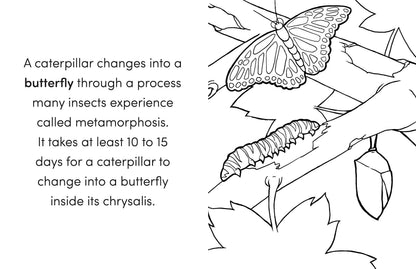 Bug Book for Kids: Coloring Fun and Awesome Facts (A Did You Know? Coloring Book) 