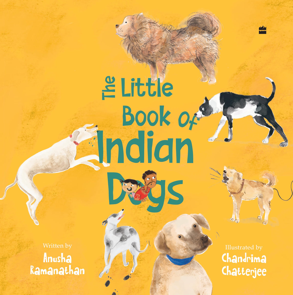 Little Book Of Indian Dogs: A Giftable Book
