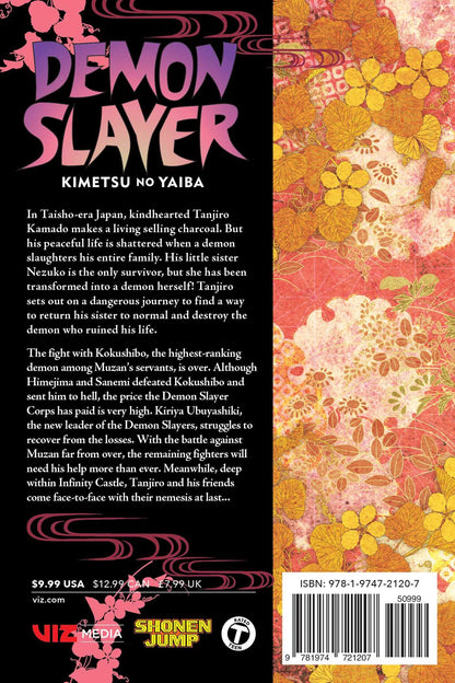 Demon Slayer: Kimetsu No Yaiba, Vol. 21, Volume 21
