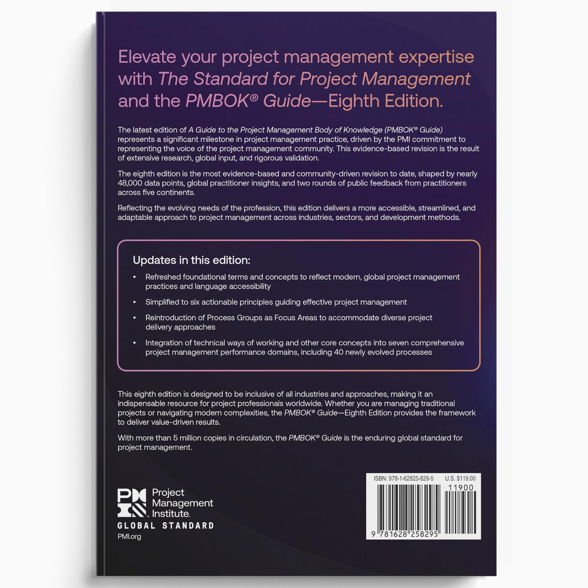 Project Management Body of Knowledge® (Pmbok®) Guide (Pmbok® Guide)