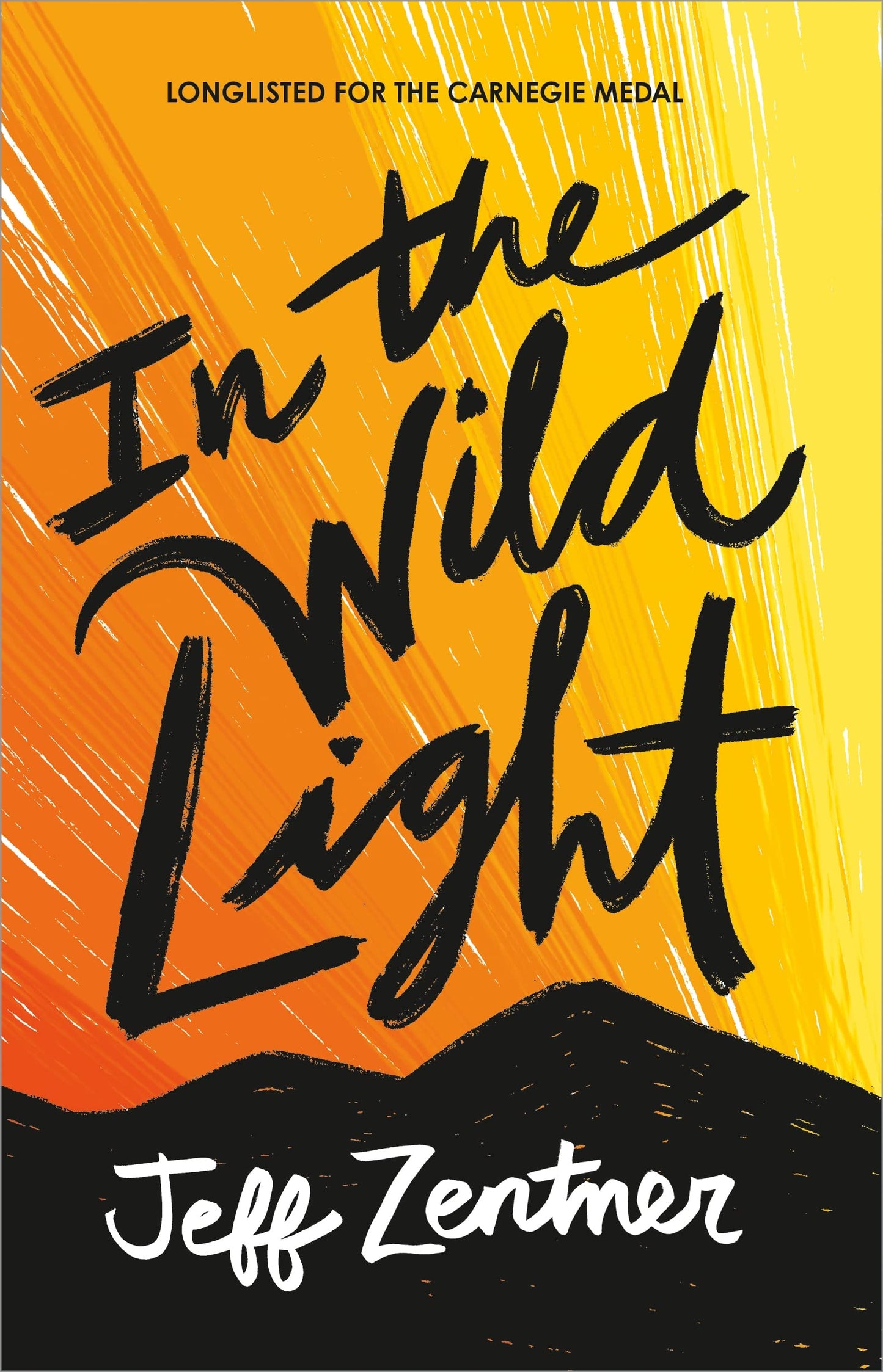 In the Wild Light book cover