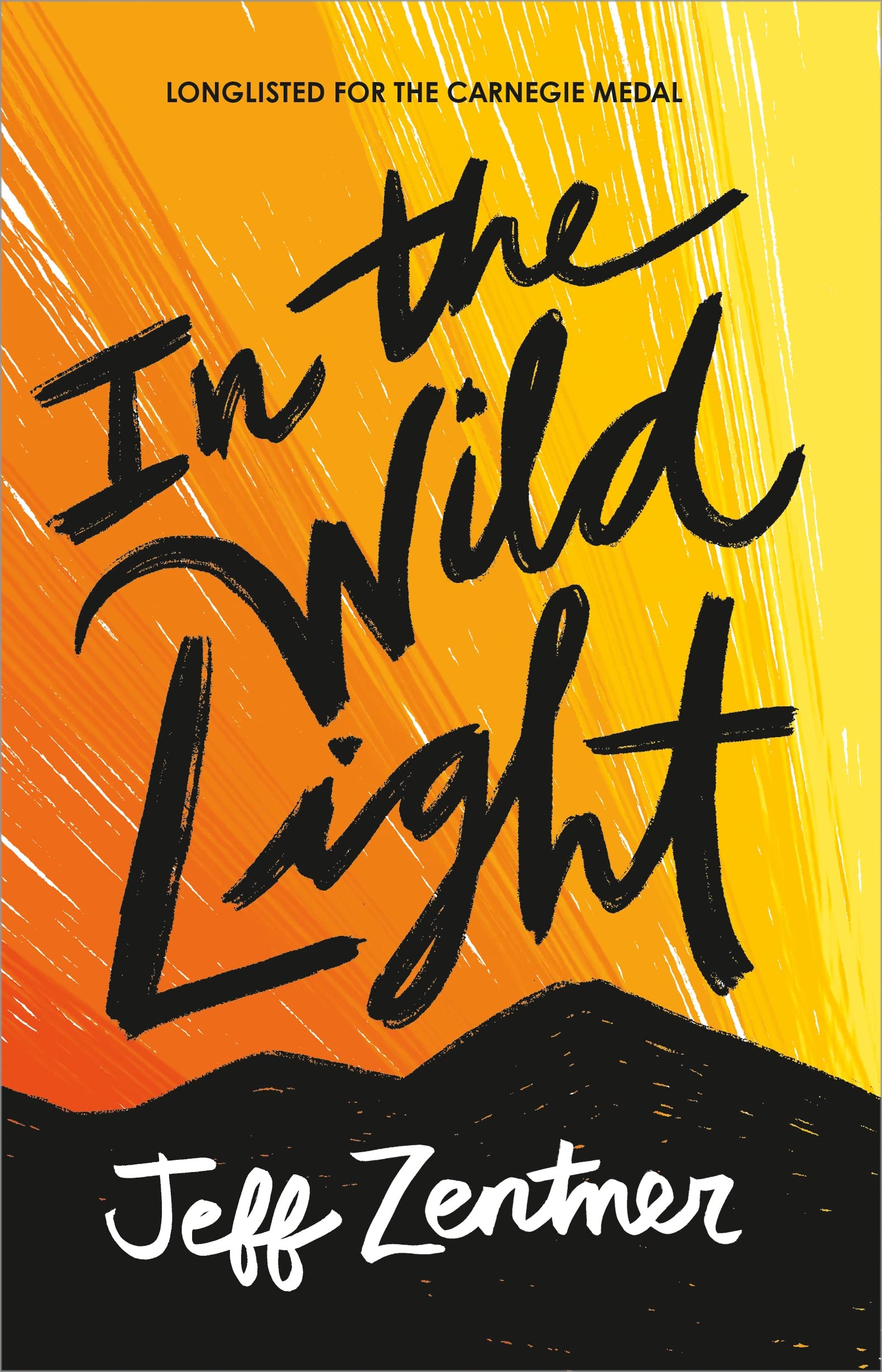 In the Wild Light book cover