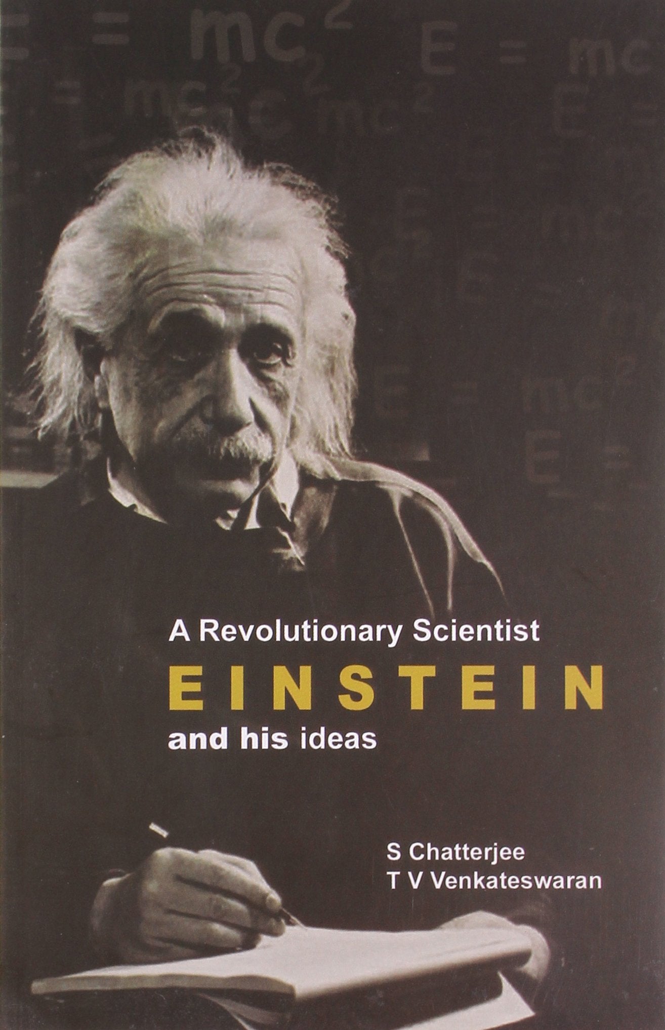 EINSTEIN : A REVOLUTIONARY SCIENTIST book cover